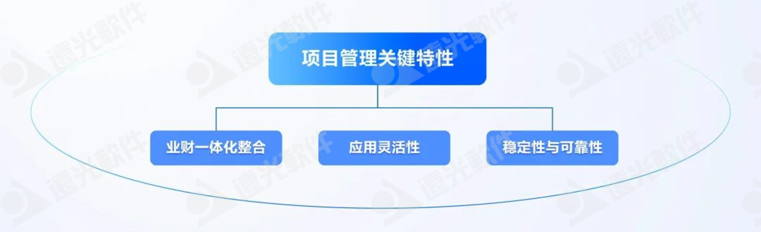 DAP专题 | 项目管理：集团企业的高效运营引擎